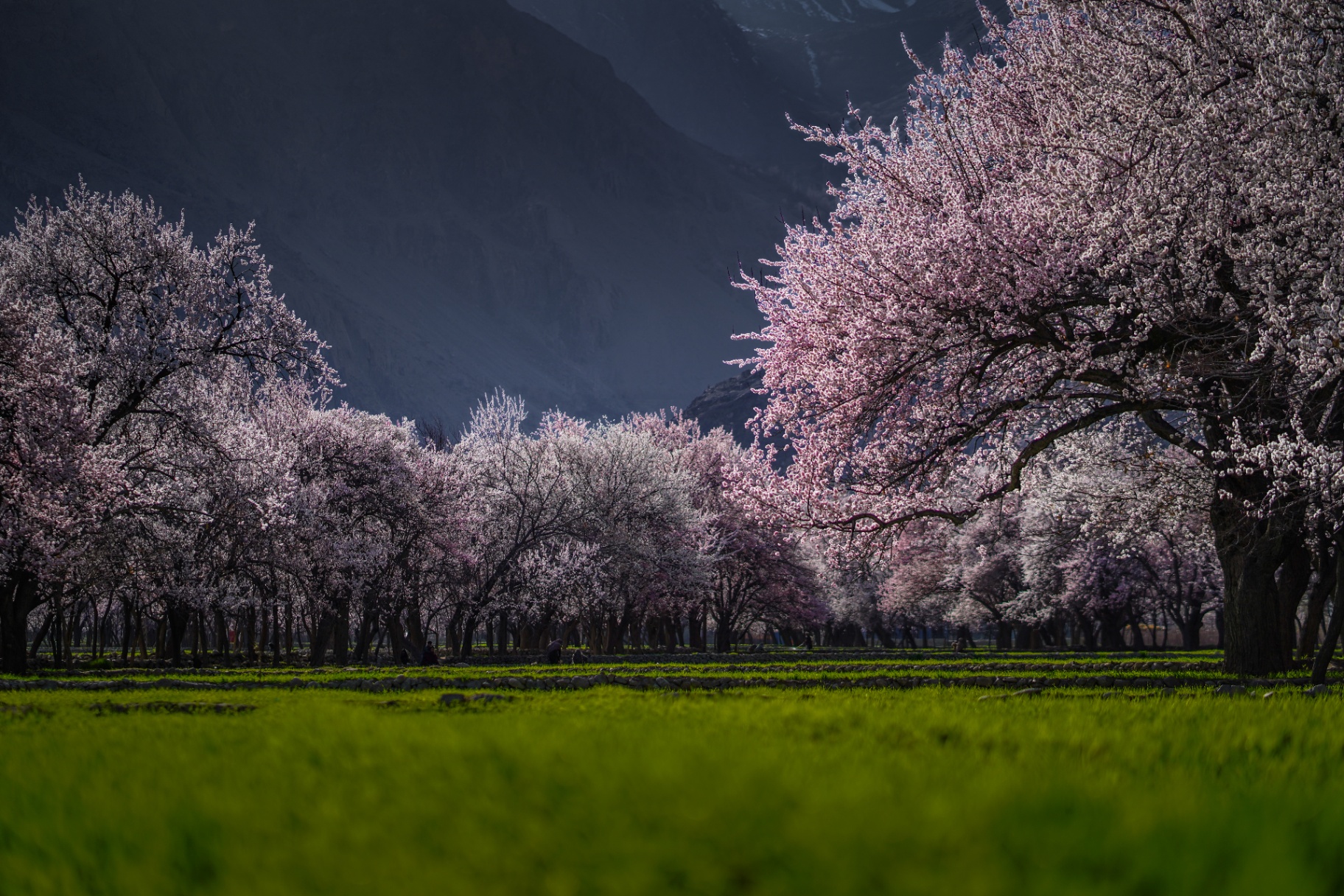 A Skardu Honeymoon designed around just the two of you